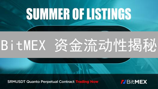 BitMEX 资金流动性揭秘：交易深度、滑点与风险控制？