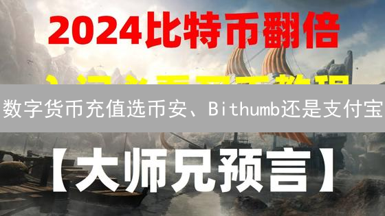 数字货币充值选币安、Bithumb还是支付宝？便捷性深度对比与风险揭秘