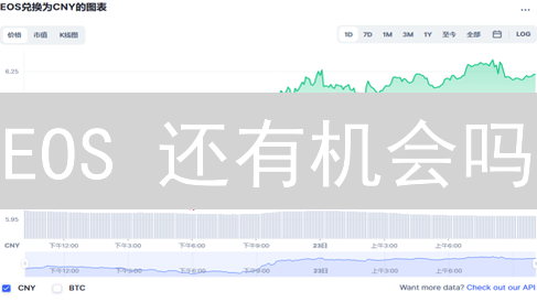 EOS 还有机会吗？币安柚子币价值深度分析与未来展望