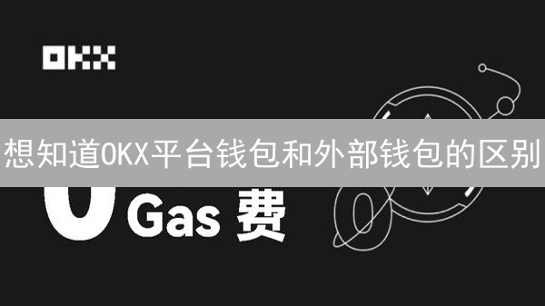 想知道OKX平台钱包和外部钱包的区别？听听专家怎么说！