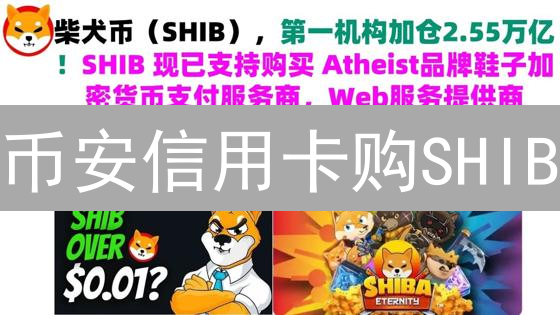 币安信用卡购SHIB：新手指南（避坑分享+安全攻略）