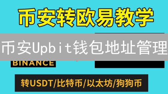 币安Upbit钱包地址管理：最新攻略，避免资产丢失！